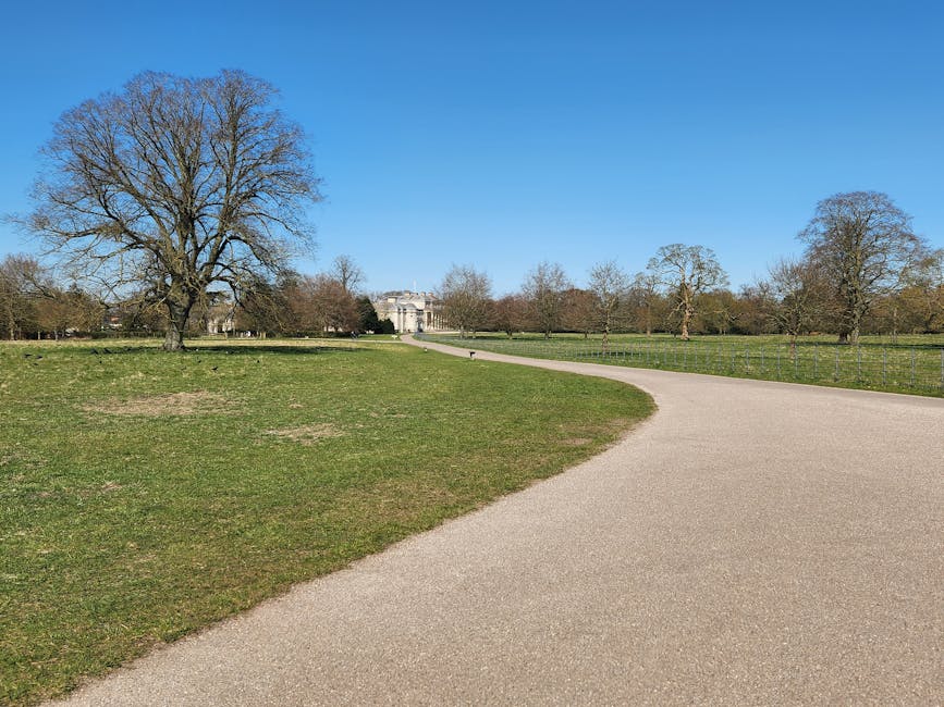 A wide gravel pathway curves through a spacious park area under a bright blue sky, with several large, leafless trees scattered along the grassy landscape. In the foreground, the pathway is bordered by patches of green grass with some bare soil visible. The middle ground features more trees and a low fence separating the open lawn from a distant row of smaller trees. In the background, an ornate classical-style building with columns and a decorative facade is partially obscured by the trees. The overall scene is well-lit with natural sunlight, creating clear shadows, and the environment appears peaceful and well-maintained. This image illustrates a typical outdoor scene that could relate to private waste collection or on-site clearance activities, as seen in professional rubbish removal services by Waste Disposal Hounslow, matching the context of alternative waste handling in outdoor public or private spaces.